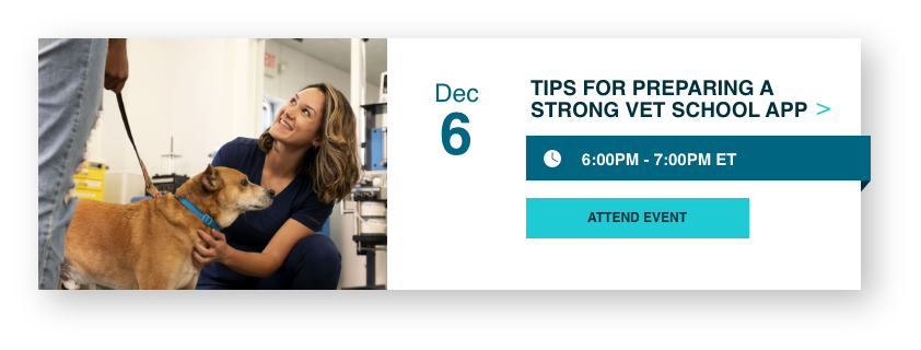 Tips & Strategies for Preparing Strong Vet School App