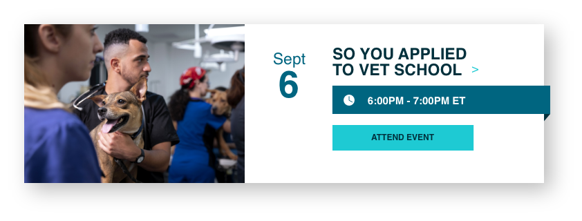 So, You Applied to Vet School… Now What? September 6th, 2023. Photo of a classroom of veterinary students