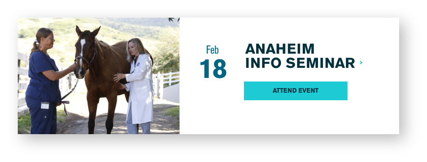Anaheim Info Seminar Feb 18