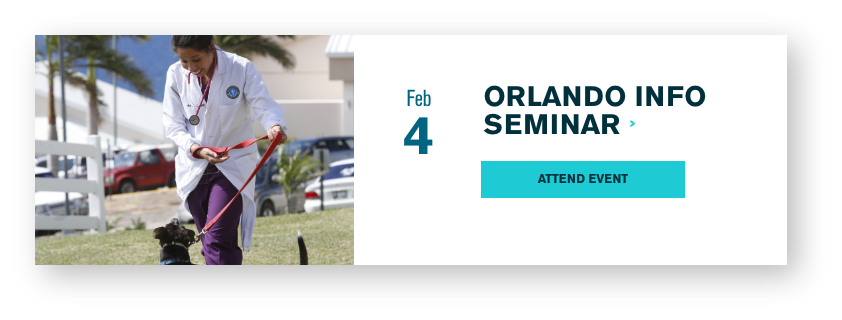 Information Seminar in Orlando Feb 4th