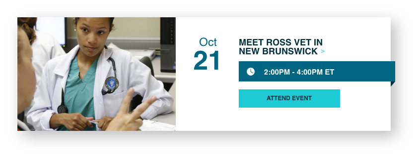 Meet Ross Vet in New Brunswick, NJ