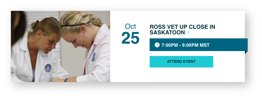 Meet Ross Vet in Saskatoon, Canada