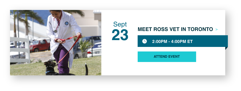 Meet Ross Vet in Toronto